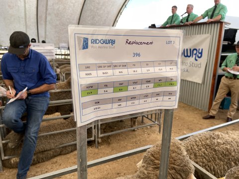 Ridgway $7800 top ram