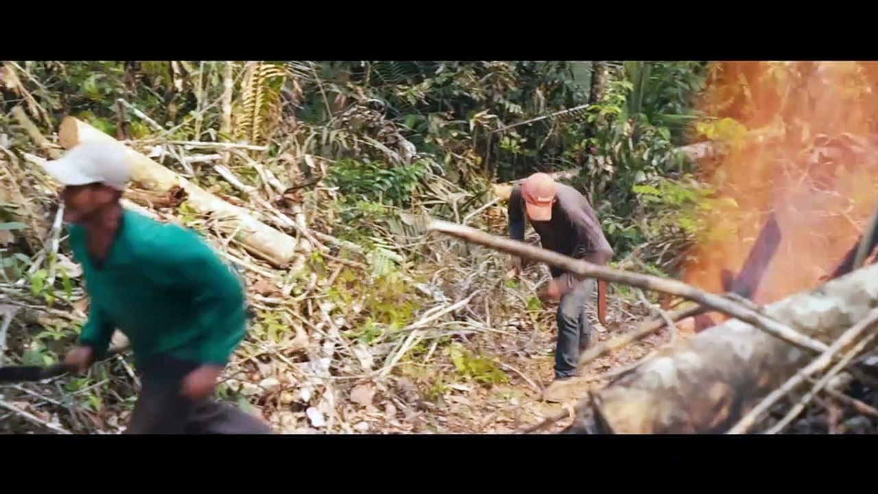 The Territory - Trailer