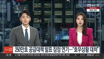 250만호 공급대책 발표 잠정 연기…