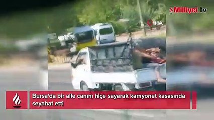 Bursa'da kamyonet kasasında tehlikeli yolculuk