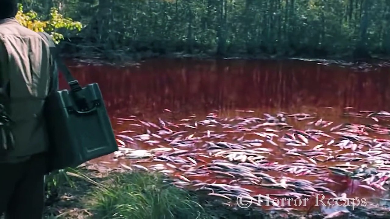 Small Town Discovers Their River Has Turned Into Blood Due To A Biblical Plague