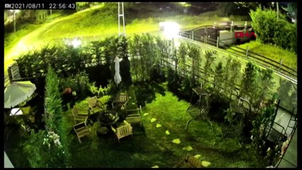 ATV ile sokak köpeğini ezmeye çalıştılar