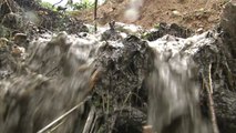우면산에서 또 쏟아진 토사...제보로 본 폭우 피해 / YTN