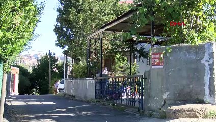 İstanbul'da vampir kelebekler halkı bezdirdi