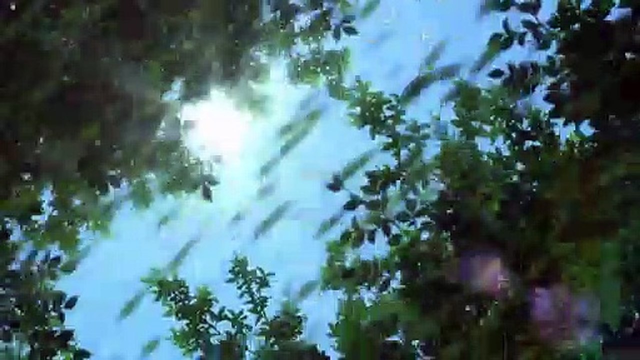 The Deer King Trailer OV