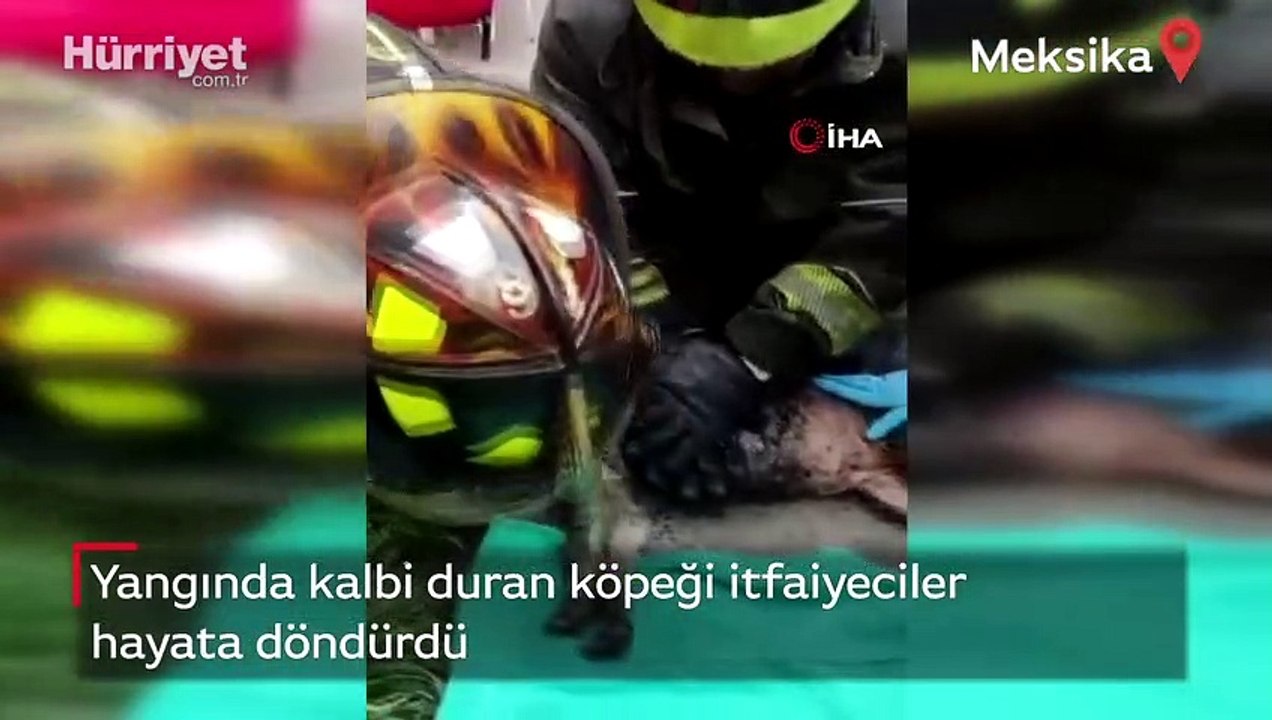 Yangında kalbi duran köpeği itfaiyeciler hayata döndürdü