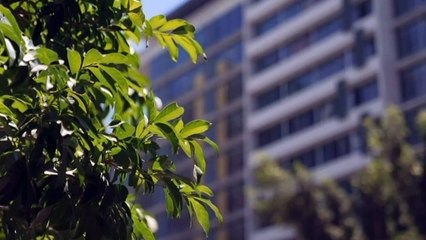 Corruption watchdogs hand down the Fitzgerald Inquiry to Queensland government