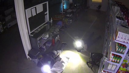 Operación 'Fitobesay' en varias provincias del sureste español