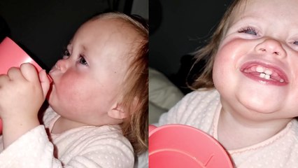 'Talkative toddler learning Scottish slang is the cutest thing you'll see today'