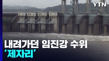 내려가던 임진강 수위 '제자리'...오늘밤 또다시 강한 비 / YTN