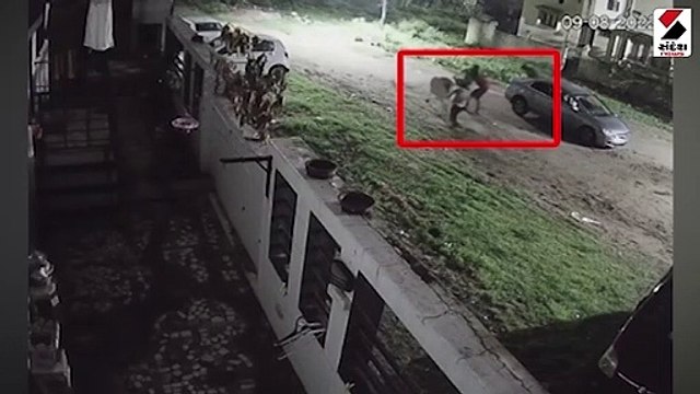 ગોધરામાં ગાયોની ઉઠાંતરી કરતો વીડિયો વાયરલ