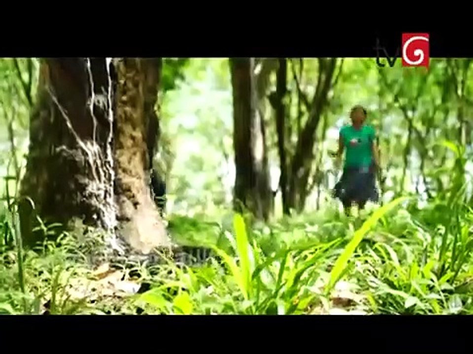 Neela Paligu Diya Episode 27