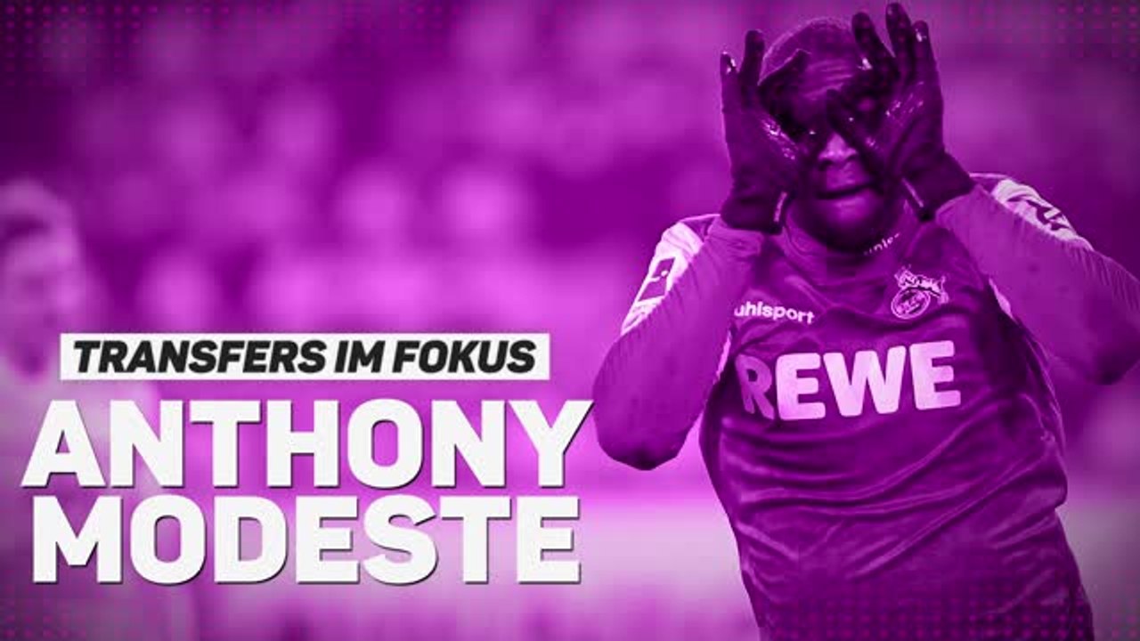 Transfers im fokus: modeste ersetzt haller beim bvb