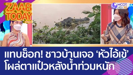 แทบช็อก ชาวบ้านเจอหัวไอ้เข้  โผล่ตาแป๋วหลังน้ำท่วมหนัก ที่แท้ของปลอม (9 ส.ค. 65) แซ่บทูเดย์