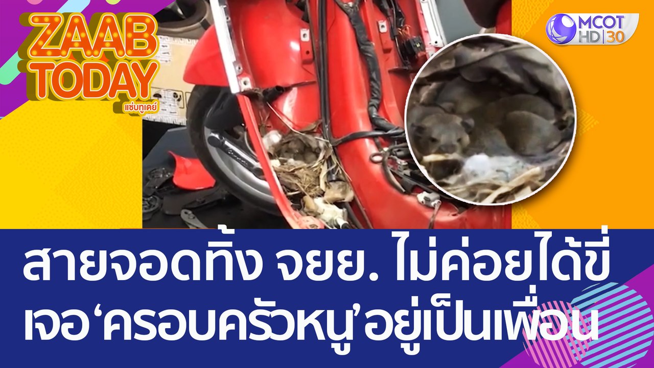 เตือนภัยสายจอดทิ้ง ซื้อจยย. แต่ไม่ค่อยได้ขี่ เจ...