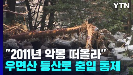 우면산에서 또 '토사 흘러내림'..."2011년 악몽 떠올라" / YTN