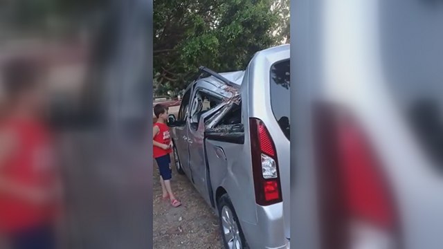 Mersin’de piknikte devrilen ağaç faciaya yol açıyordu