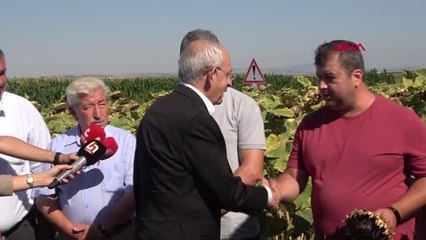 KILIÇDAROĞLU AYÇİÇEĞİ TABAN FİYATI TON BAŞINA 16 BİN LİRA OLMALI