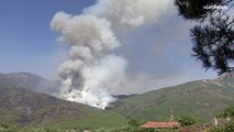 Spanien erlebt verherendstes Waldbrand-Jahr