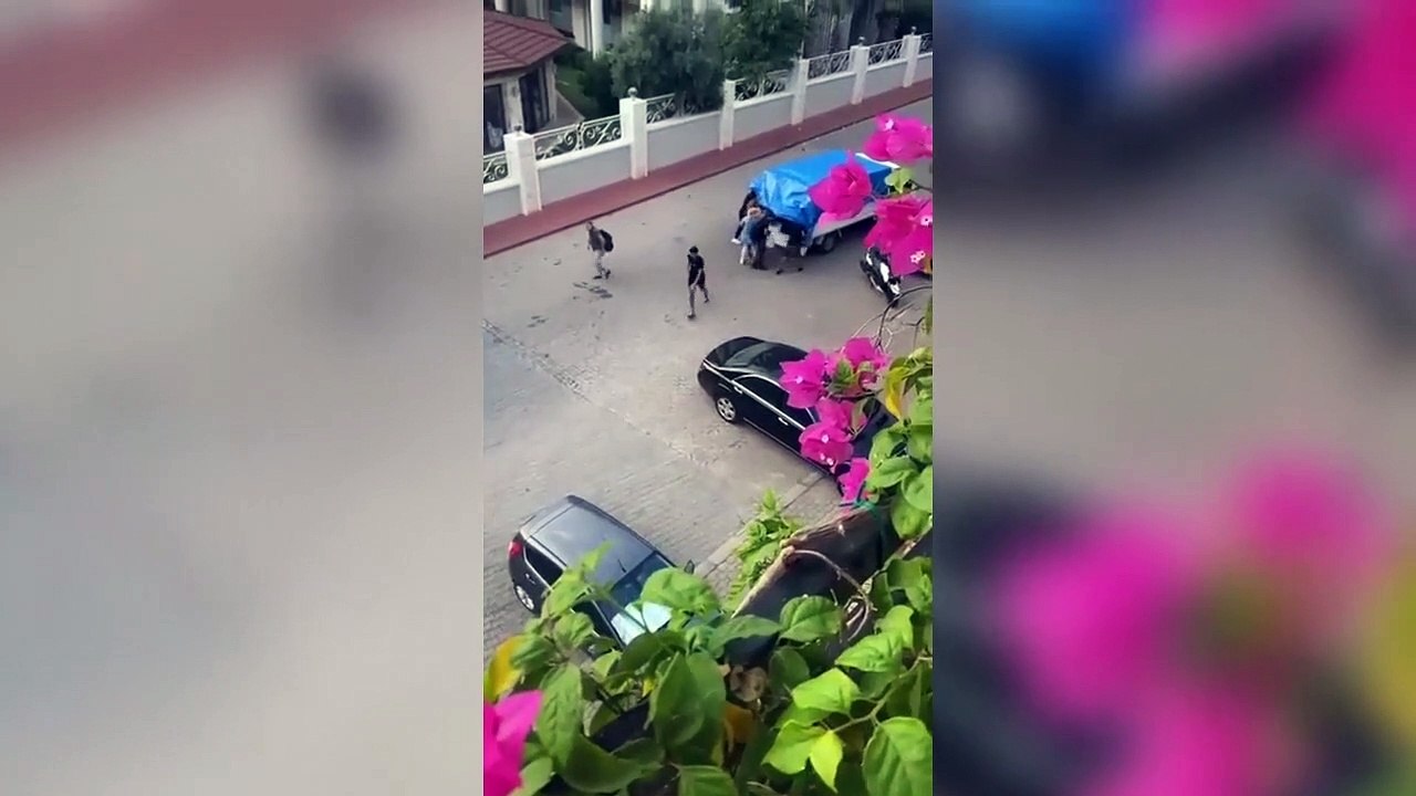 Marmaris ve İstanbul'dan sokak ortasına bırakılan kaçak manzaraları