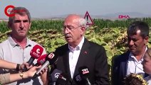 Kılıçdaroğlu, Edirne’de 'ayçiçek alım fiyatı' önerilerini açıkladı: 'Kilosunun 16 lira olması lazım, destek hariç'