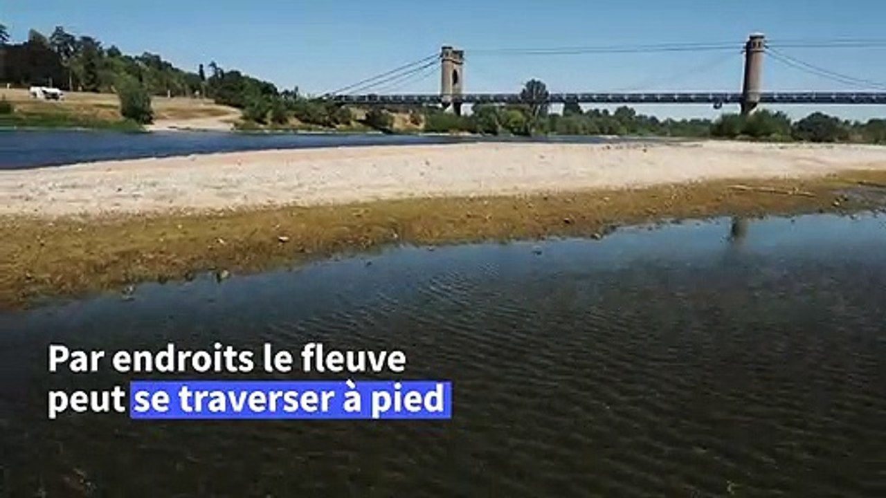 Sécheresse: la Loire si basse qu’elle se traverse à pied