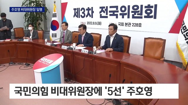 국힘 ‘주호영 비대위’로…윤핵관 참여 선 긋기