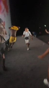 Des fans hystériques perturbent l’avant-première de One Piece Red à Marseille