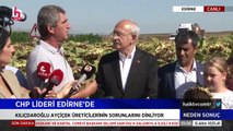 Kemal Kılıçdaroğlu: Ayçiçek fiyatı ton başına 16 bin TL olmalı