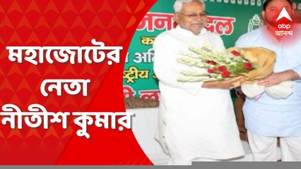Nitish Kumar: আরজেডি ও কংগ্রেসের উপস্থিতিতে মহাজোটের নেতা নির্বাচিত নীতীশ কুমার