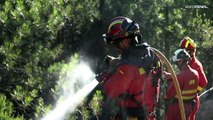 Südeuropa und Sibirien unter Feuer - Waldbrände wüten weiter