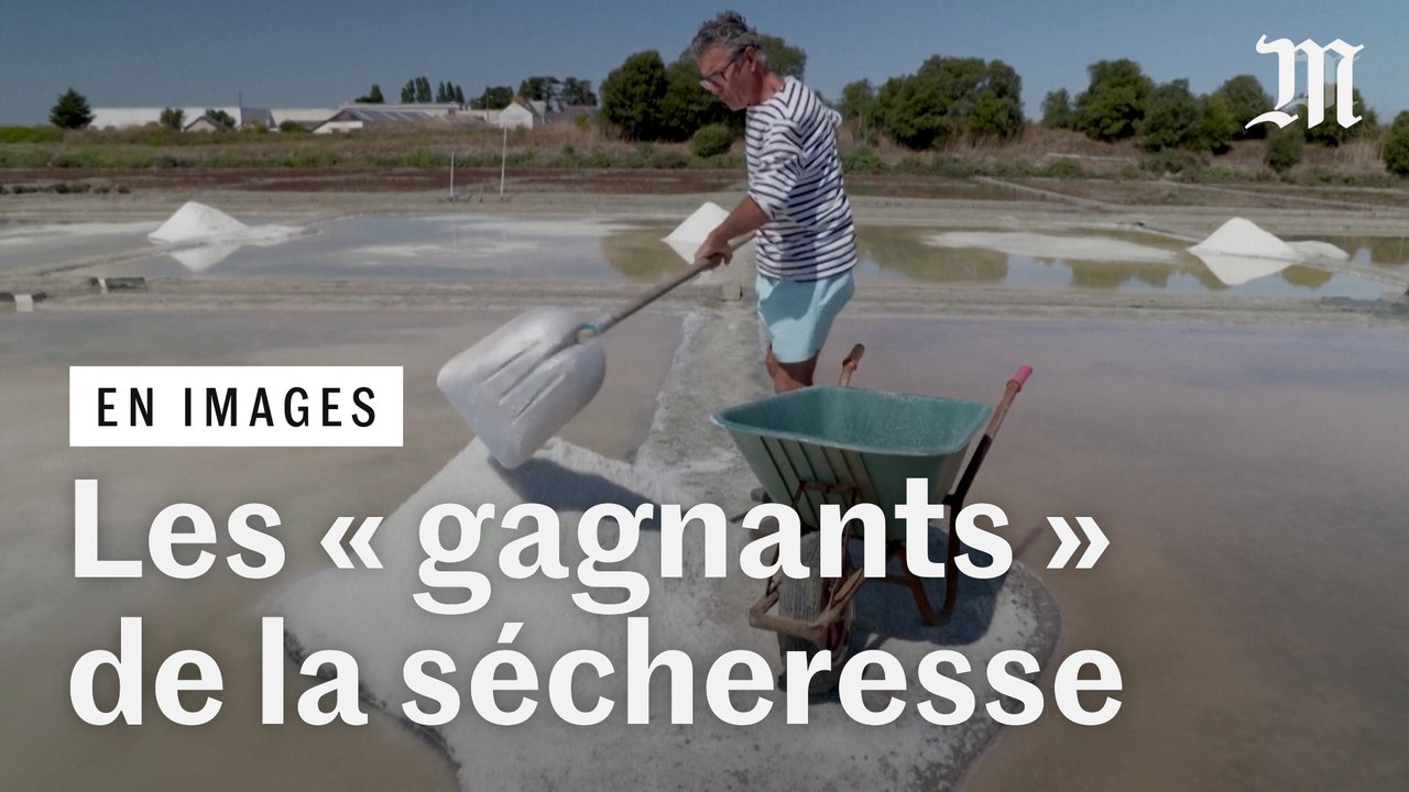 A Guérande, les marais-salants sont les « seuls gagnants du réchauffement climatique »