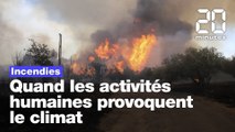 Incendies, canicules, sécheresse : Quand les activités humaines provoquent le climat