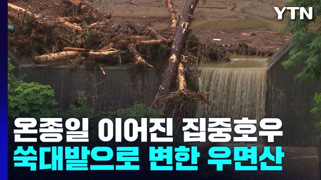 18명 목숨 앗아간 우면산에서 또 '토사 흘러내림'...주변 전면 통제 / YTN