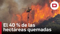 España acumula el 40 % de las hectáreas calcinadas este año en la UE