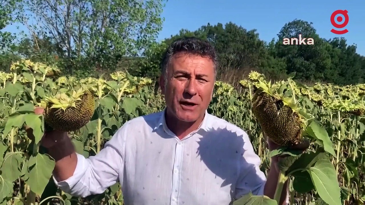 Orhan Sarıbal: “Tahıl koridoruyla Türkiye’ye getirilen ayçiçeği tohumu, büyük uluslararası şirketlerin… Ne Ukrayna çiftçisinin, ne Rusya çiftçisinin"