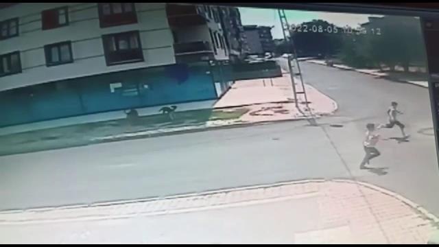 Başıboş sokak köpeklerinin küçük çocuklara saldırdığı anlar kamerada