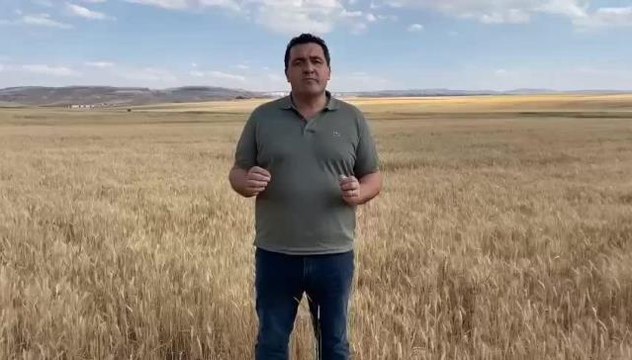Sivas haberi | Ulaş Karasu: Tmo'nun Buğday Teslim Tarihini 15 Gün İleri Atması Gerekmektedir, Çiftçilerimiz Mağdur Olmamalıdır