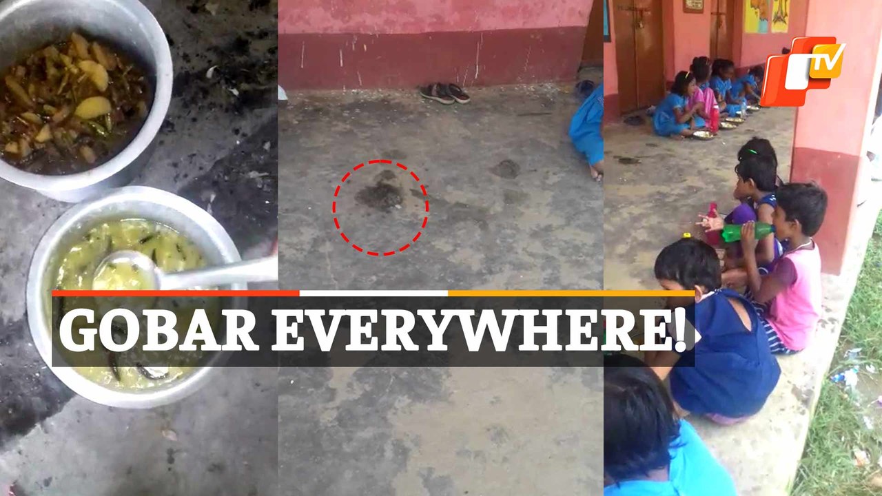 WATCH - Rivers Swell Amid Incessant Rain, People Cross Overflowing River In Gajapati District