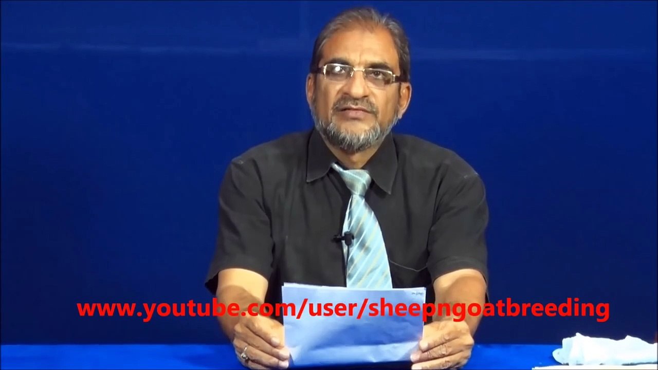 LEARN GOAT FARMING -BASIC REQUIREMENTS FOR STARTING A FARM _PART 31