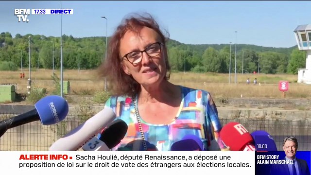 Isabelle Dorliat-Pouzet, secrétaire générale de la préfecture de l'Eure: Il vaut mieux tenter l'évacuation du béluga que ne pas la tenter