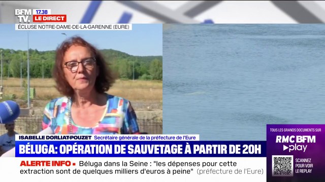 Le béluga coincé dans la Seine est dans un état stationnaire et se nourrit toujours très peu , selon la préfecture de l'Eure