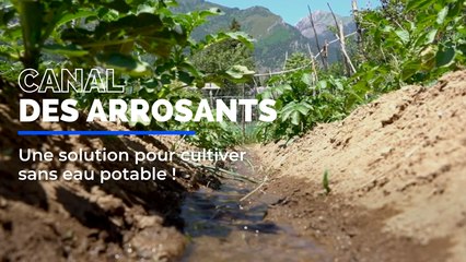 Canal des arrosants : Une solution pour cultiver sans eau potable !