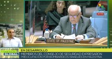 Consejo de la ONU muestra preocupación sobre bombardeos israelíes a Palestina