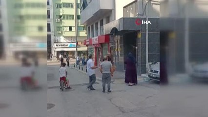 Sokağı istila eden arılar paniğe neden oldu