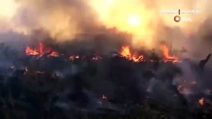 Edirne'de piknikçilerin mangal ateşi nedeniyle örtü yangını çıktı