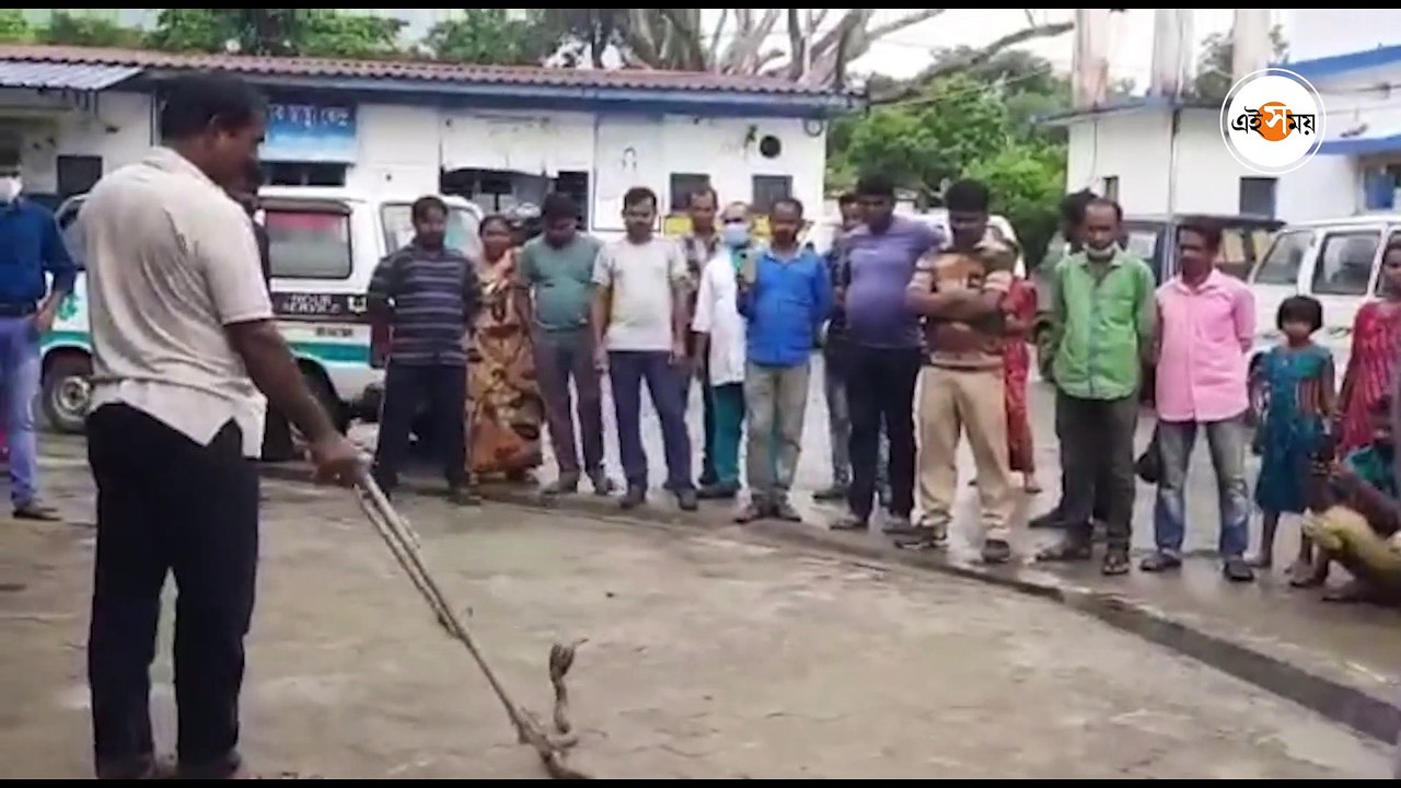 ফণা তুলে গোখরো! হাসপাতালে আতঙ্ক