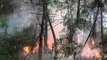 Son dakika haber: Çıkan orman yangını havadan ve karadan müdahaleyle söndürüldü