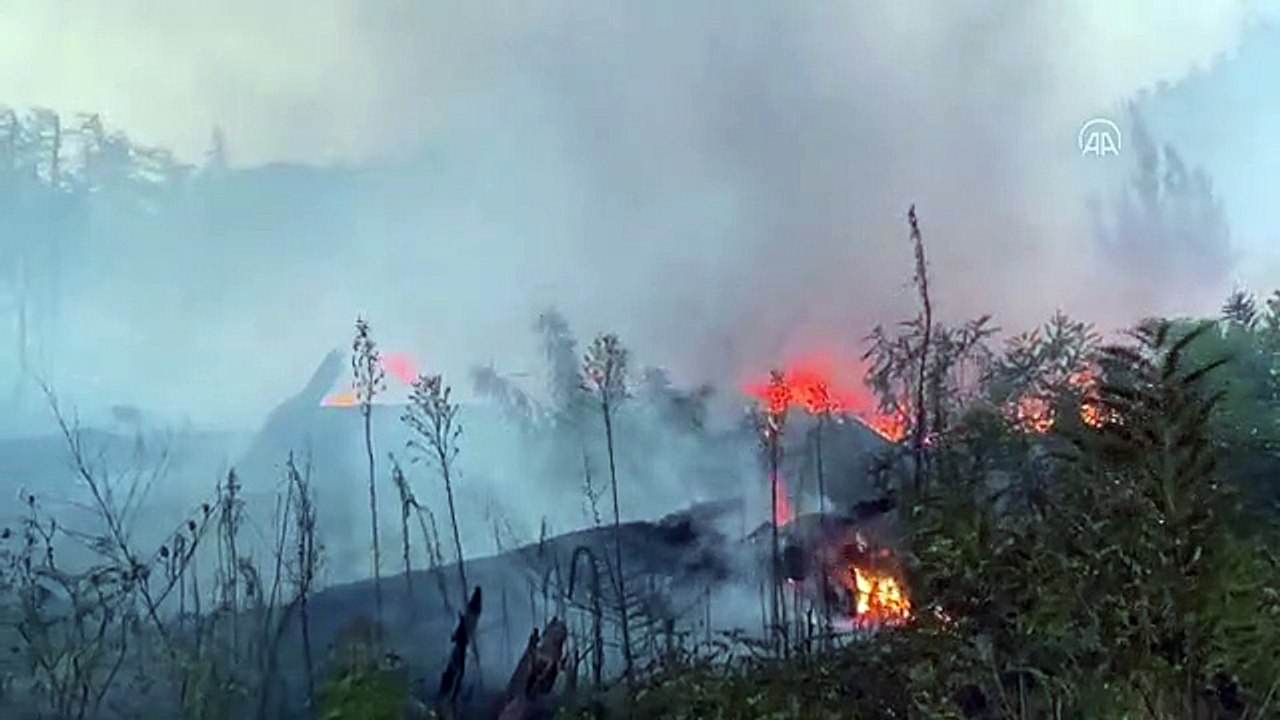 Son Dakika | Otluk alanda çıkan yangın ormana sıçramadan kontrol altına alındı