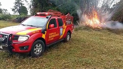 BOMBEIROS CO0NTROLAM INCÊNDIO AS MARGENS DA PR-323 EM UMNUARAMA